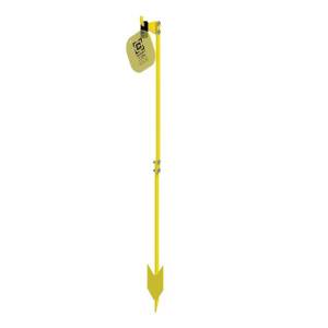 Gong CALDWELL AR 500 20 x 23 Cms + PIED.