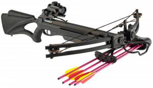 Arbalète Shoot Again COMPOUND NOIRE 175 Lbs.