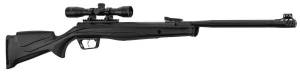 Carabine BEEMAN 10619 + Lunette 4 X 32.